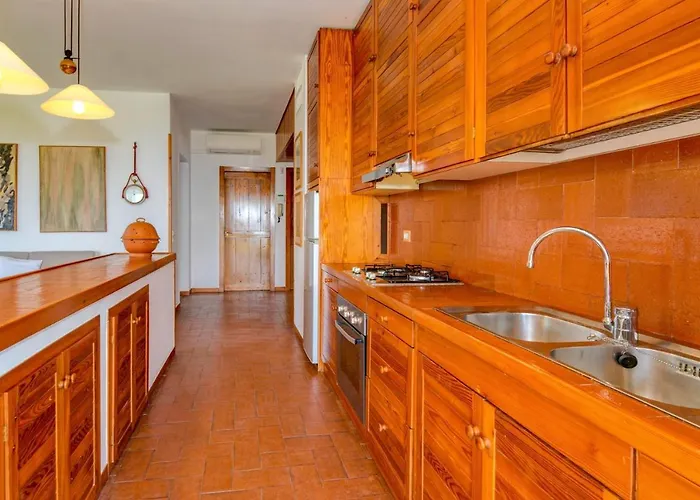 Silva Villa Manerba del Garda